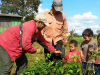 Planting program with smallholders