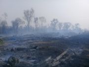 Más de 100 Incendios Forestales en la RPNSR