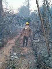 Incendio Forestal