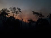 Incendios en la Reserva para Parque Nacional San Rafael