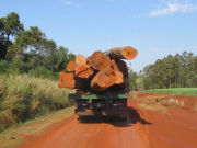 Transport of logs